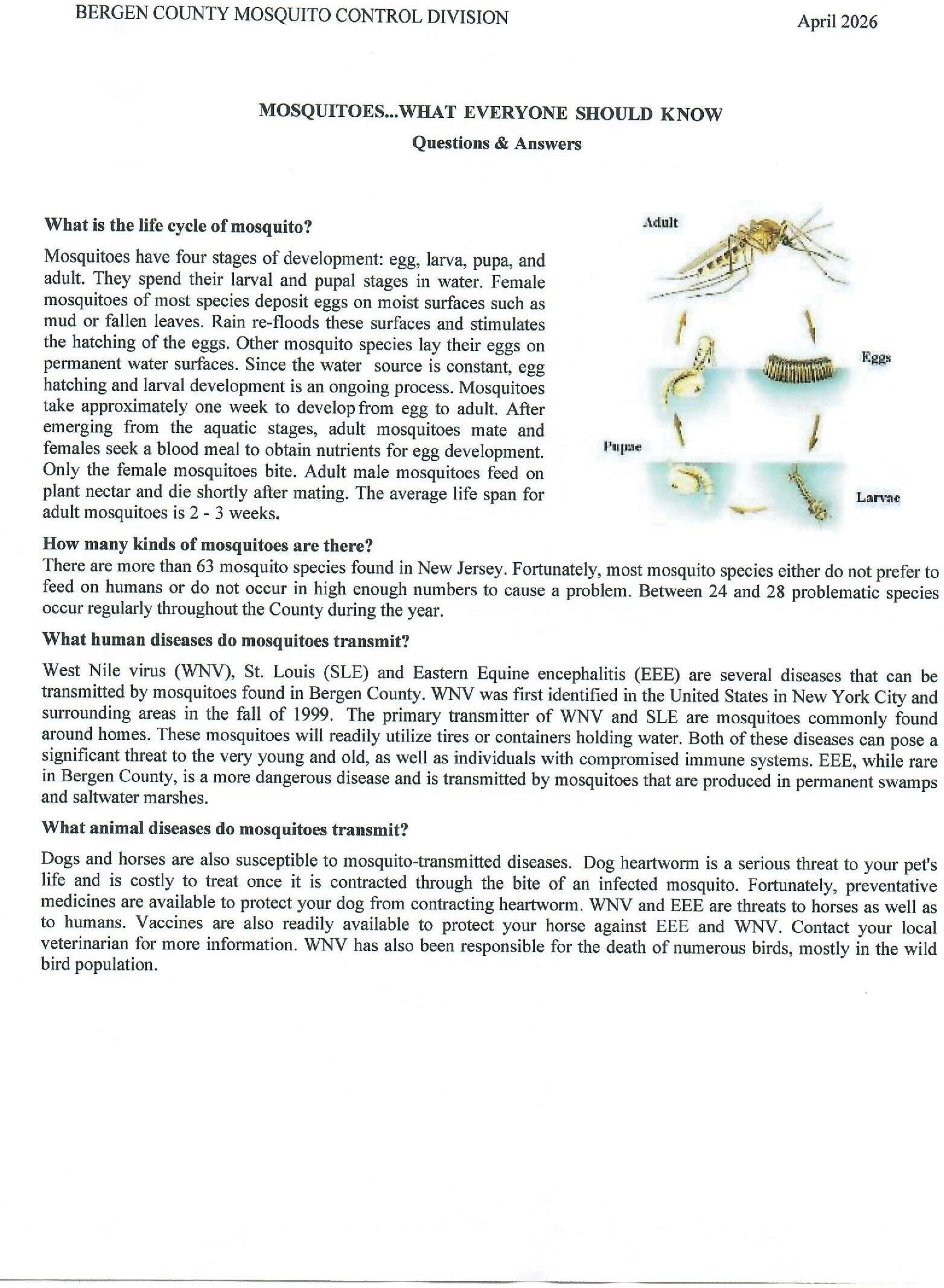 2026 Town Packet 0001 2